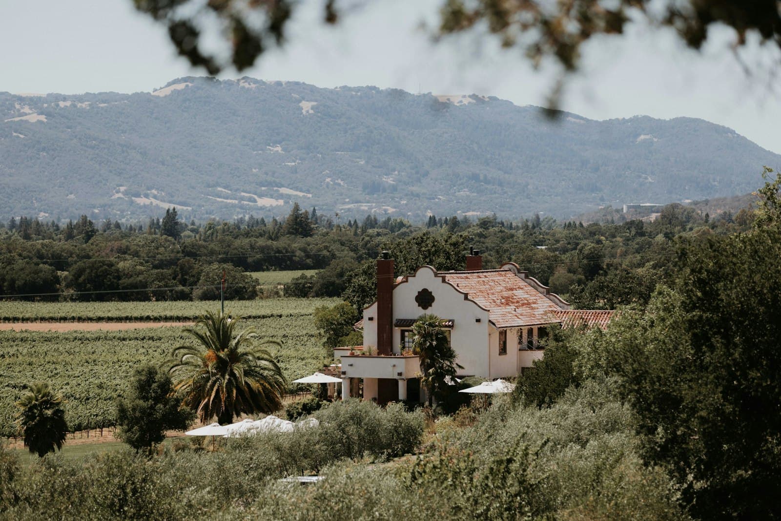 A white farmhouse with a red tile roof among vineyards and oak trees in the upper Napa Valley near Calistoga.