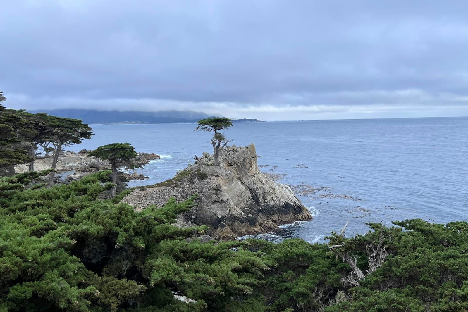 The Lone Cypress on its granite outcrop above the Pacific along 17-Mile Drive in Pebble Beach.