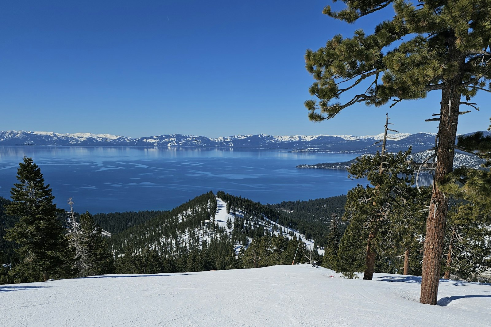 Lake Tahoe seen from a snowy ski slope above Incline Village, framed by pine trees under a clear blue sky.